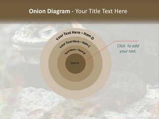 Switch Cool System PowerPoint Template