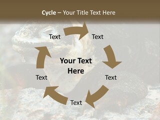 Switch Cool System PowerPoint Template