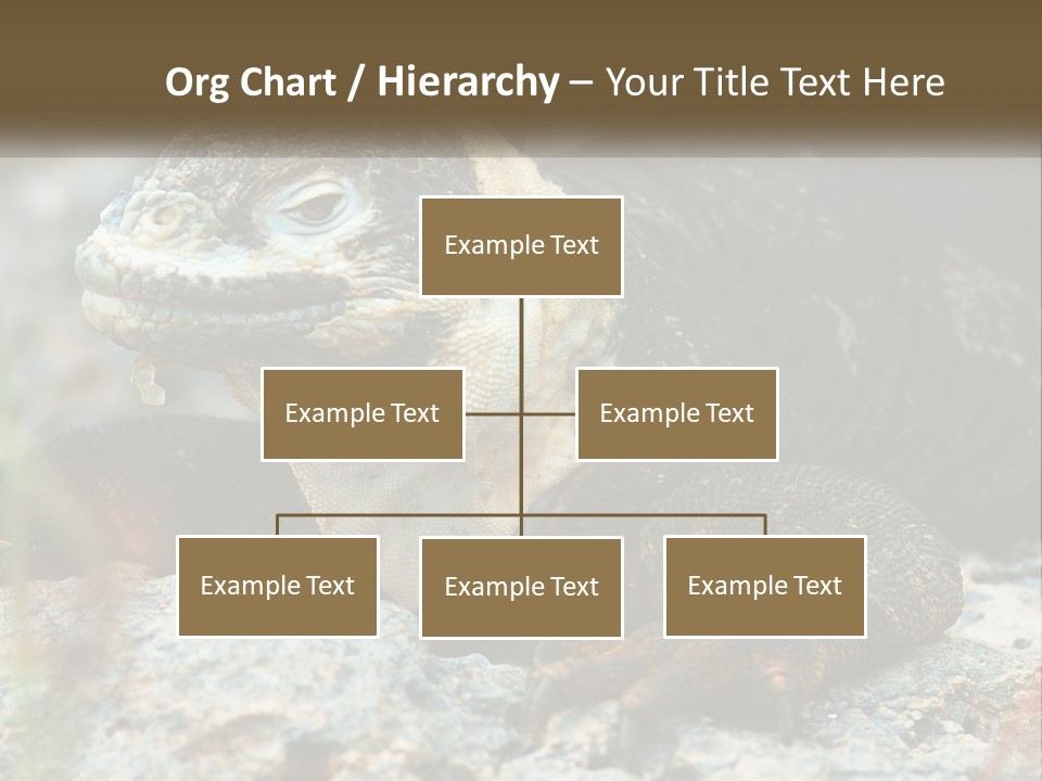 Switch Cool System PowerPoint Template