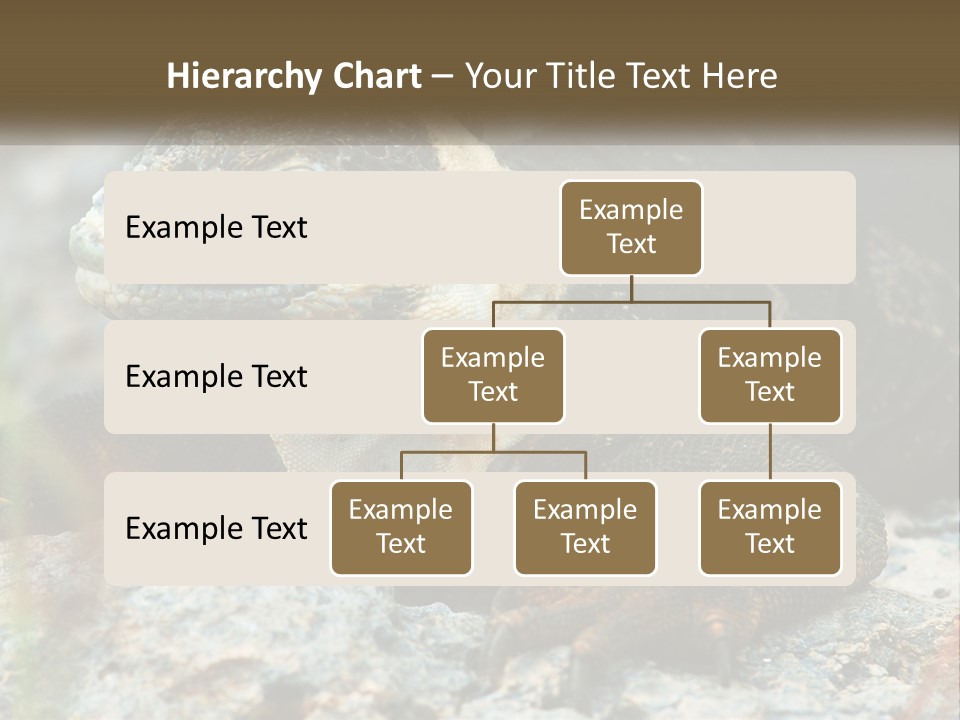 Switch Cool System PowerPoint Template