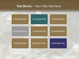Switch Cool System PowerPoint Template