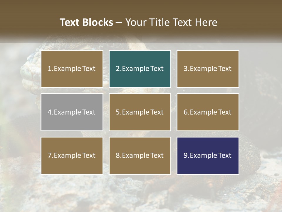Switch Cool System PowerPoint Template