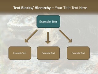 Switch Cool System PowerPoint Template