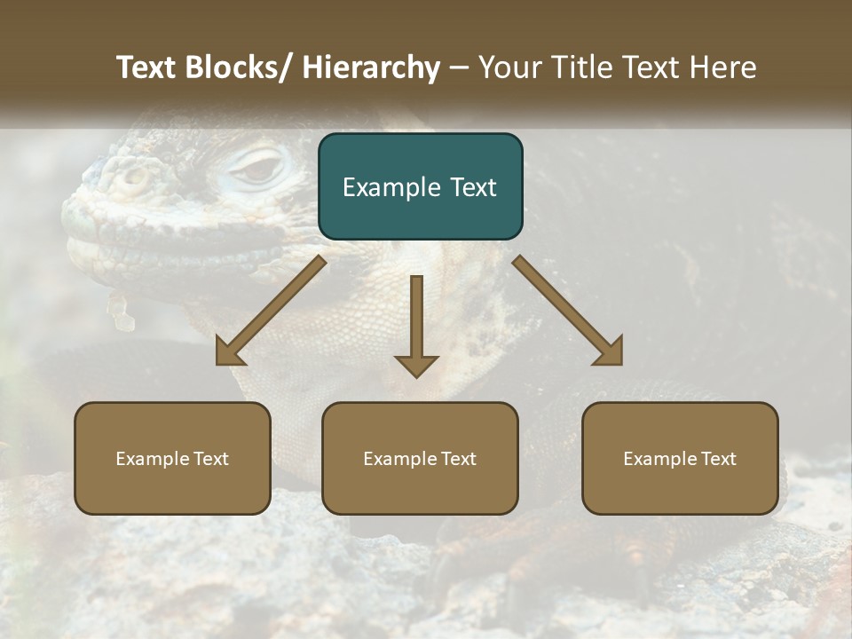 Switch Cool System PowerPoint Template