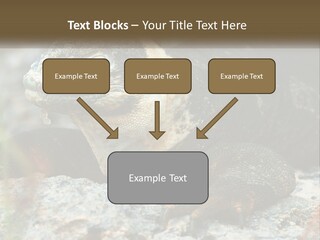 Switch Cool System PowerPoint Template