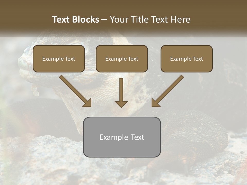 Switch Cool System PowerPoint Template