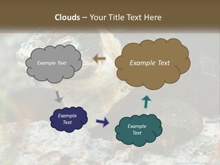 Switch Cool System PowerPoint Template