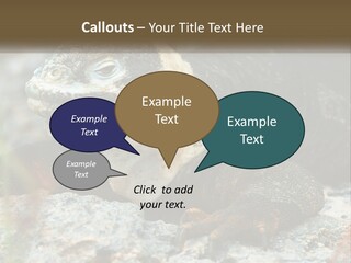 Switch Cool System PowerPoint Template