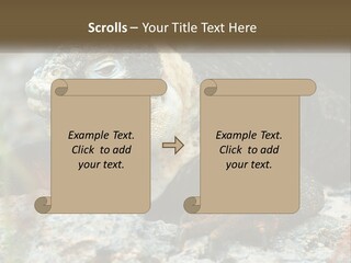 Switch Cool System PowerPoint Template