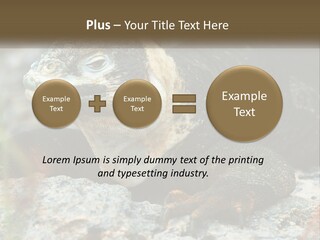 Switch Cool System PowerPoint Template