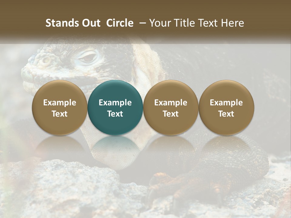 Switch Cool System PowerPoint Template