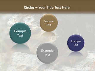 Switch Cool System PowerPoint Template