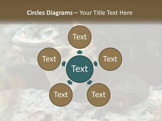 Switch Cool System PowerPoint Template