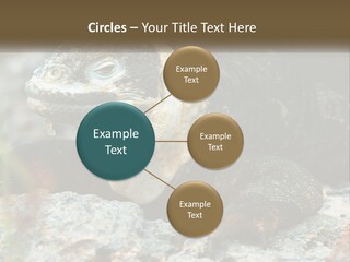 Switch Cool System PowerPoint Template