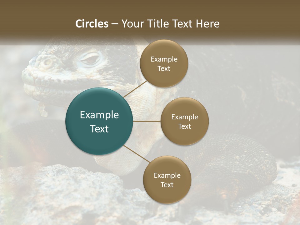 Switch Cool System PowerPoint Template
