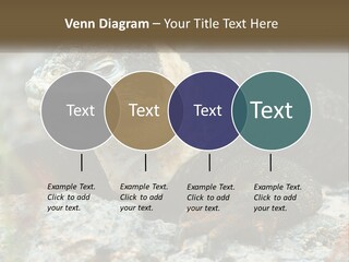 Switch Cool System PowerPoint Template