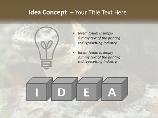 Switch Cool System PowerPoint Template