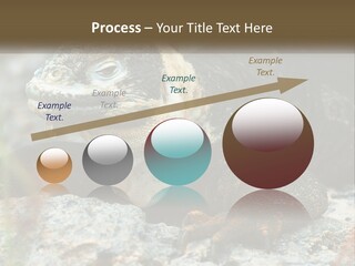 Switch Cool System PowerPoint Template
