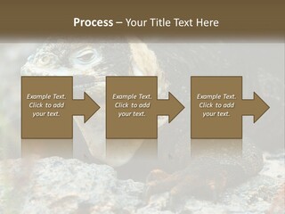 Switch Cool System PowerPoint Template