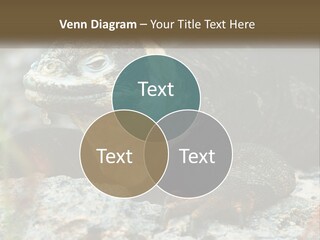 Switch Cool System PowerPoint Template