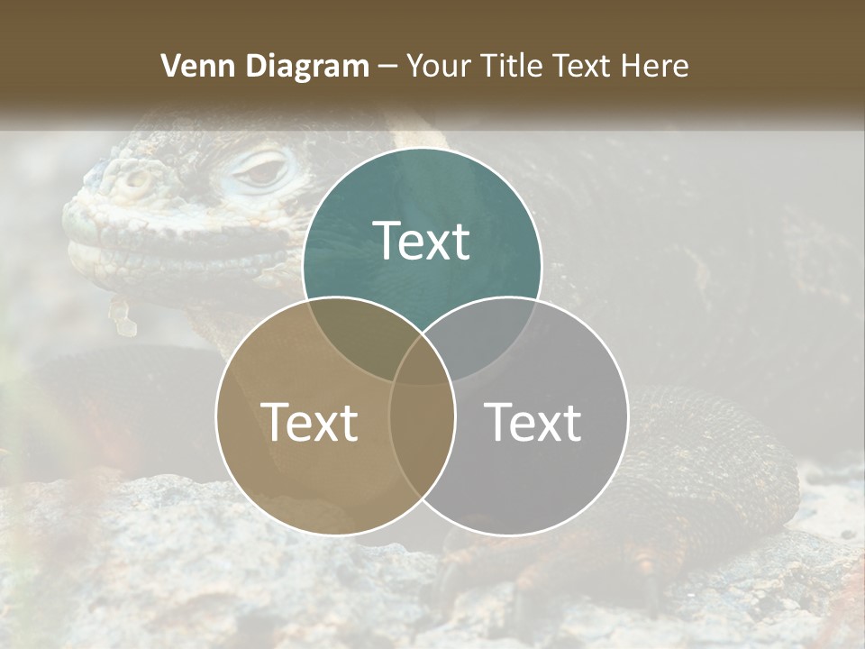 Switch Cool System PowerPoint Template