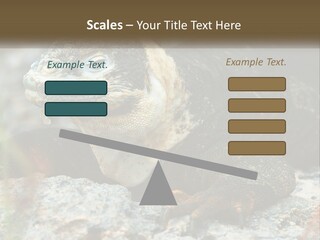 Switch Cool System PowerPoint Template