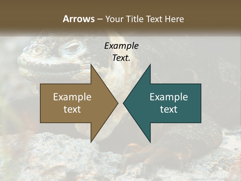 Switch Cool System PowerPoint Template
