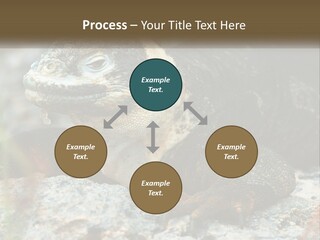 Switch Cool System PowerPoint Template