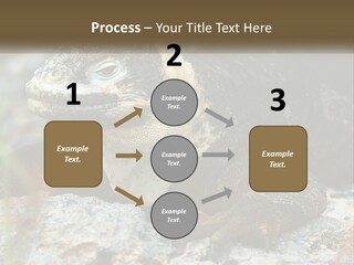 Switch Cool System PowerPoint Template