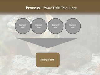 Switch Cool System PowerPoint Template