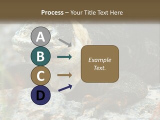 Switch Cool System PowerPoint Template