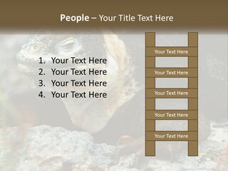Switch Cool System PowerPoint Template