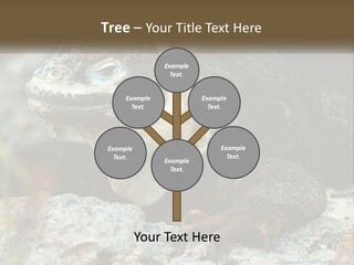 Switch Cool System PowerPoint Template