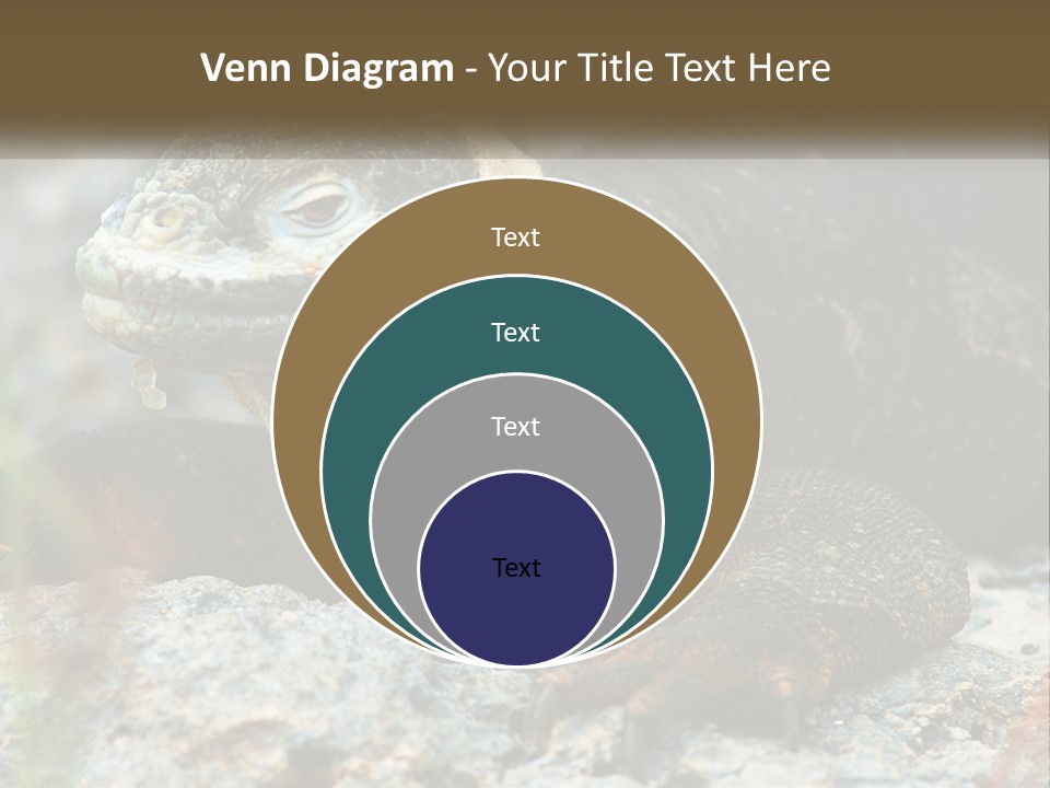 Switch Cool System PowerPoint Template