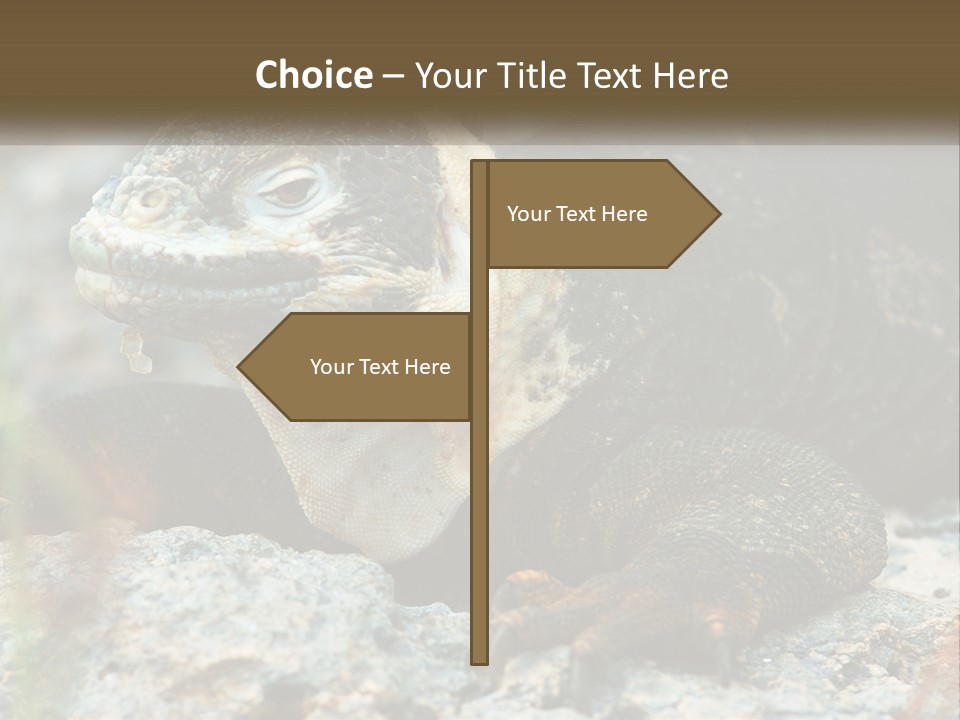 Switch Cool System PowerPoint Template