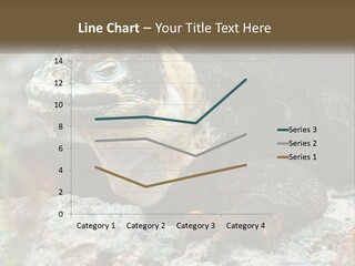 Switch Cool System PowerPoint Template