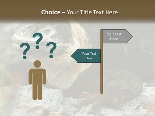 Switch Cool System PowerPoint Template