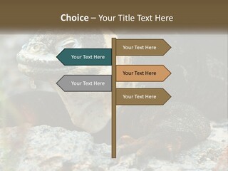 Switch Cool System PowerPoint Template