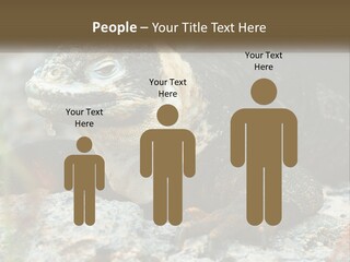 Switch Cool System PowerPoint Template