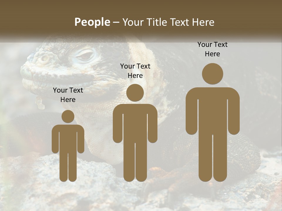 Switch Cool System PowerPoint Template