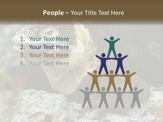 Switch Cool System PowerPoint Template