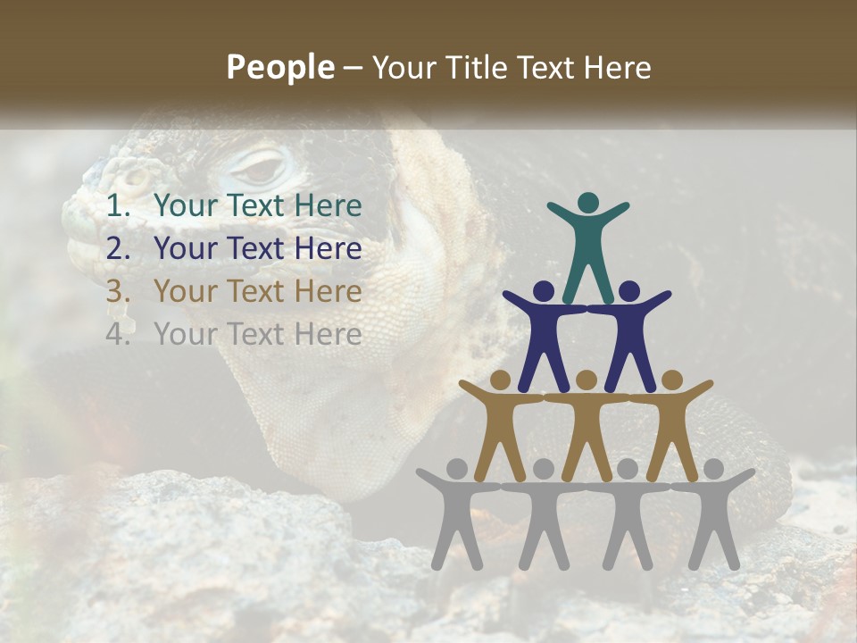 Switch Cool System PowerPoint Template