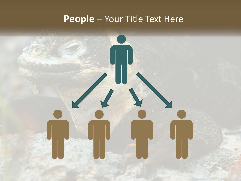 Switch Cool System PowerPoint Template