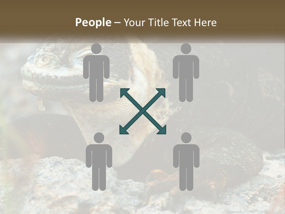 Switch Cool System PowerPoint Template