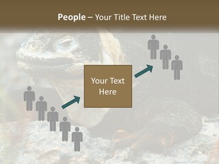 Switch Cool System PowerPoint Template