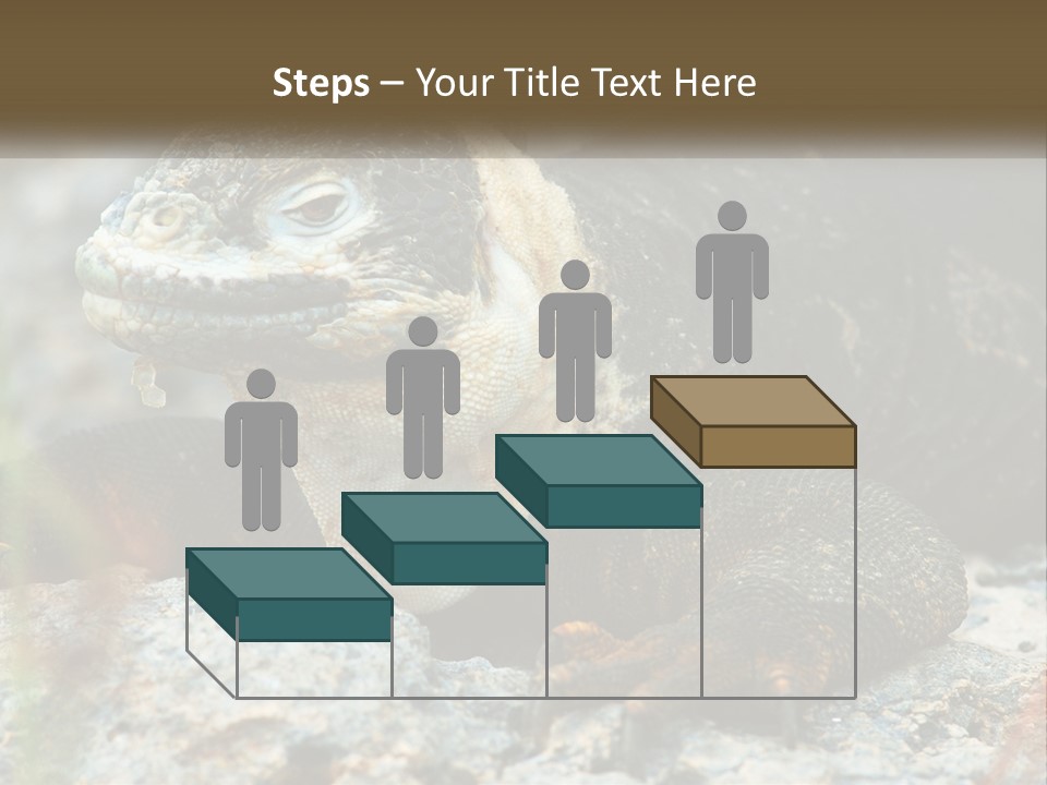 Switch Cool System PowerPoint Template