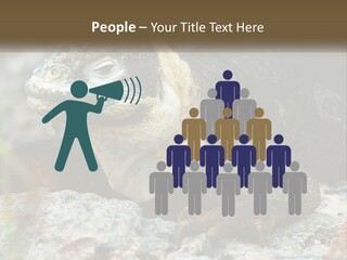 Switch Cool System PowerPoint Template