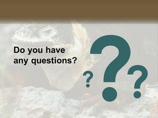 Switch Cool System PowerPoint Template