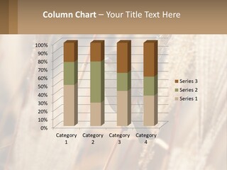 House Industry Electricity PowerPoint Template