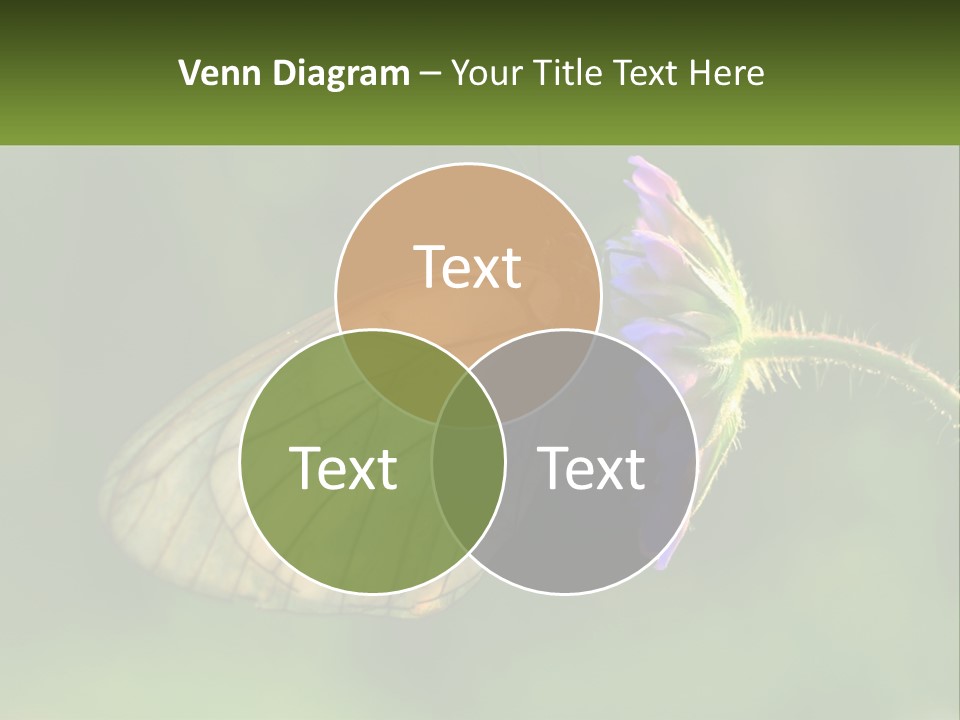 Power Equipment Remote PowerPoint Template